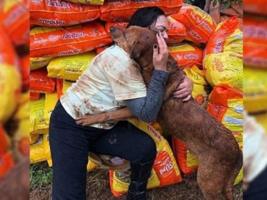 Mulher doou ração para um abrigo que ficou sem comida e um cachorro correu  para abraçá-la